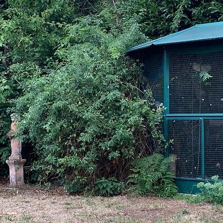 Maisonnette En Clairiere De Foret Gambais Zewnętrze zdjęcie