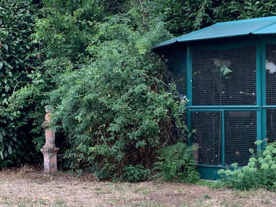Maisonnette En Clairiere De Foret Gambais Zewnętrze zdjęcie