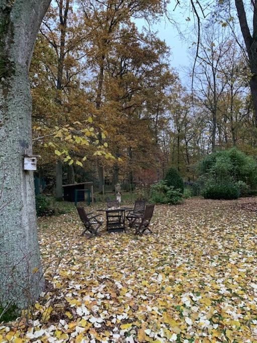 Maisonnette En Clairiere De Foret Gambais Zewnętrze zdjęcie